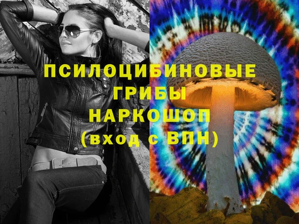 ГАЛЛЮЦИНОГЕННЫЕ ГРИБЫ Беломорск
