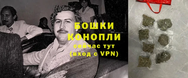 ГАЛЛЮЦИНОГЕННЫЕ ГРИБЫ Беломорск