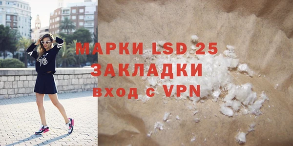 ГАЛЛЮЦИНОГЕННЫЕ ГРИБЫ Беломорск